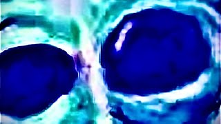 Watch a still photo transform into something completely different before your very eyes. Unique