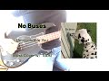 No Buses- Untouchable You (Bass Cover w/ Tabs)