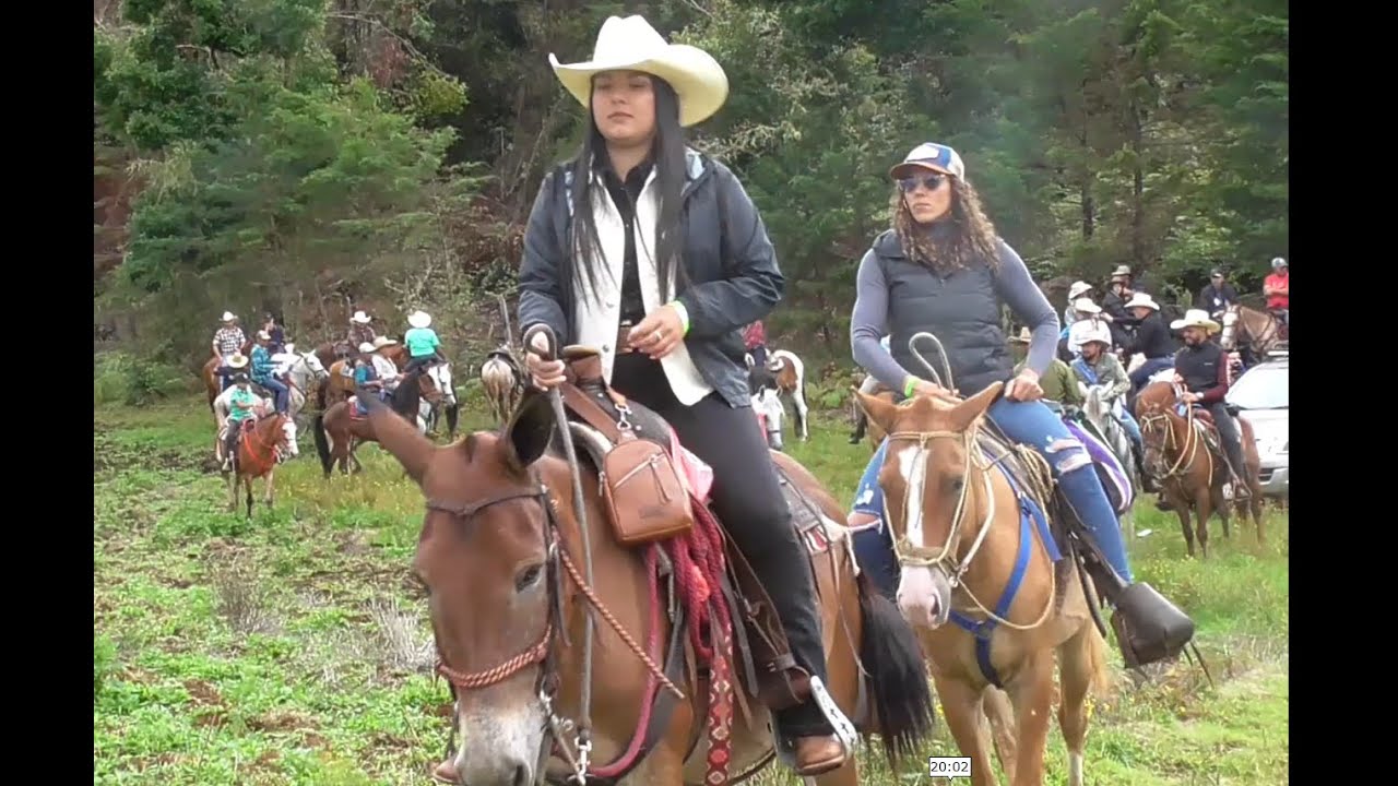 Cabalgata Riders Horseback Riders Enjoying Rural Cabalgata Costa Rica - YouTube