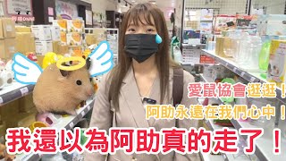 我要來去愛鼠協會看看有沒有阿助的身影！！ by 阿瑄歐尼 7,258 views 3 months ago 10 minutes, 18 seconds