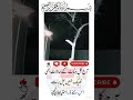 ذرا احتیاط کیجئے  # Giants video۔ # Hayat-e-Nafe 24.12.2025M.R.S