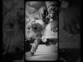 POV: I'm Your Nightmare @Melanie Martinez #therian #melaniemartinez #POV
