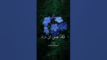 ✨سورة مريم✨عبد الباسط عبد الصمد✨🌼💚حآلات وتس قران أسلاميات#tiktok #قرآن #اكسبلور #قران_كريم #trending