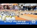 ዜና ትግርኛ ቀትሪ ሰዓት 6 30 ታሕሳስ 29 2018 ዓ ም Tigrai Television ቴሌቪዥን ትግራይ