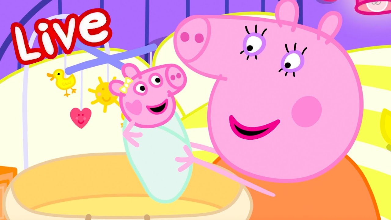Peppa Pig NEW BABY EVIE Episodes LIVE 🍼 Evie Pig's BEST Moments 🥹 Watch EVIE Now! 💛 Kids Cartoons