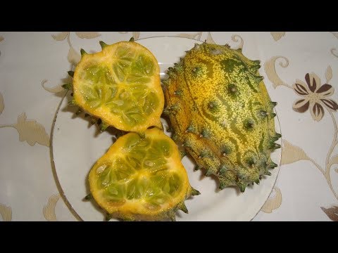 Видео: Kiwano Horned Fruit: Съвети за отглеждане и информация за грижа за желирани пъпеши