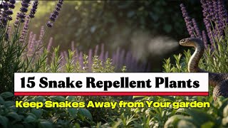 15 Snake Repellent Plants That Actually Work — Grow These in Your Garden