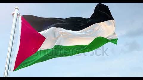 Palestine Flag Waving loop 4K