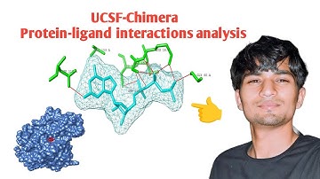 UCSF -Chimera Protein-ligand interactions analysis