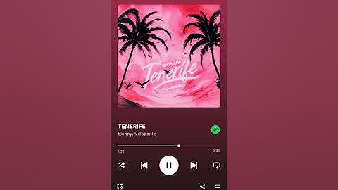 Skinny - TENERIFE Villabanks