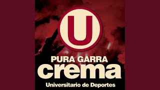 Video thumbnail of "Ramón Ayala - Universitario"