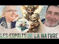 Les esprits de la nature  jrme vibert  bernard guiraud  au del des mondes 