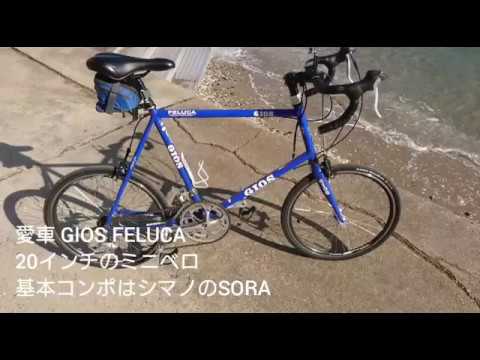 GIOS Feluca ミニベロバイク フレームのみ ホワイト-510mm GIOS ( ジオス ) ミニベロ FELUCA CLARIS ( フェルーカ クラリス