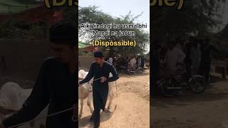 Dispossible baat hy bhii!! #cow #bull #jawarimandi #cowmandi #cowlover