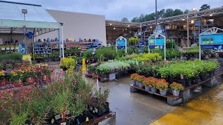 Lowes September Plant Inventory. Lots of shrubs, perennials and annuals to choose from.