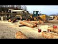 Veneer White oak!! Getting ready for the big sale Veneer White oak!! Getting ready for the big sale