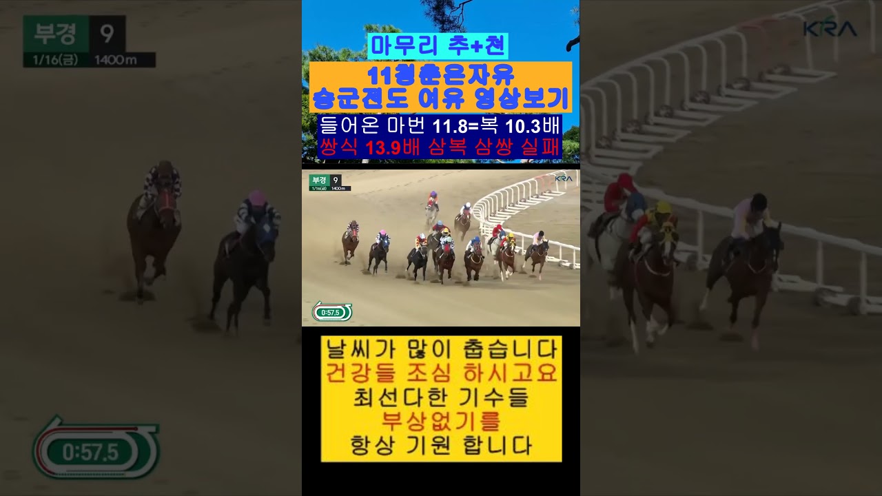 마무리 추+쳔 승군마 11청춘은자유 우승영상 다시보기