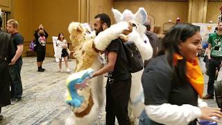 Two furries start a spontaneous line for hugs at Animefest 2019