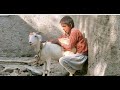 Amazing man meets with his goat/us Animals