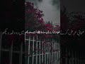 #islamicstoriesinurduandhindi #youtubeshorts #fypシ゚viral #quotes #islamicquotes #viralshort #share