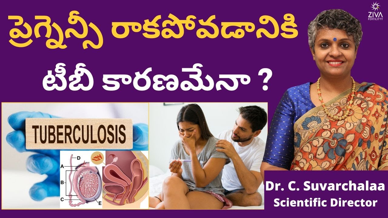 టీబీ || Tuberculosis And Infertility || Reproductive Tract TB || Genital TB || Dr C Suvarchalaa