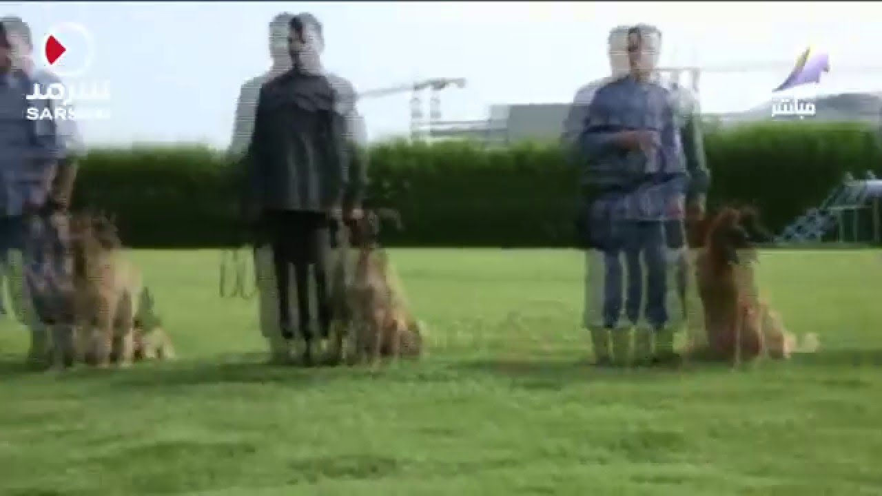 تقرير عن إدارة الأثر في وزارة الداخلية قطاع شئون العمليات