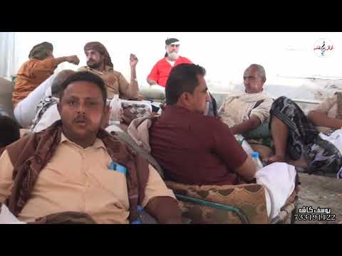 امرك على الراس بصوت محمد شماع عرس آل الصافي