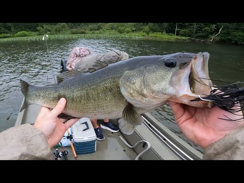 Overcast Topwater Bass Fishing