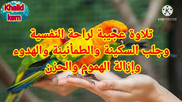 سورة يوسف كاملة تلاوة جميلة هادئة تريح القلب ❤ والعقل || سبحان من رزقه هذا الصوت.. للشيخ سعد الغامدي