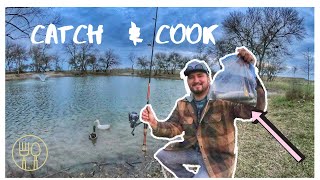 Catching Rainbow Trout in Urban City Pond (catch n cook)