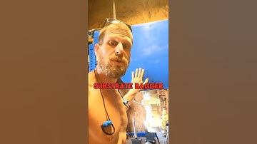 Mushroom Substrate Bagger #mushroomfarming #farming #mushroomgrowing #fungi #mushroomcultivation