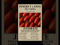 PRECIOS DEL TOMATE SALADETTE 25 DE NOVIEMBRE #agriculturaméxico #tomate #agricultura #agriculturausa