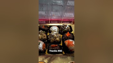 Diwali Gift from ANZ 🎁 | Rewards & Recognition Certificate | Happy Moments at Work ✨