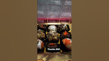 Diwali Gift from ANZ 🎁 | Rewards & Recognition Certificate | Happy Moments at Work ✨