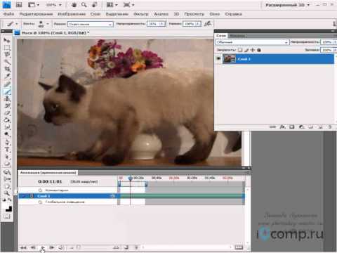Редактирование видео в Adobe Photoshop