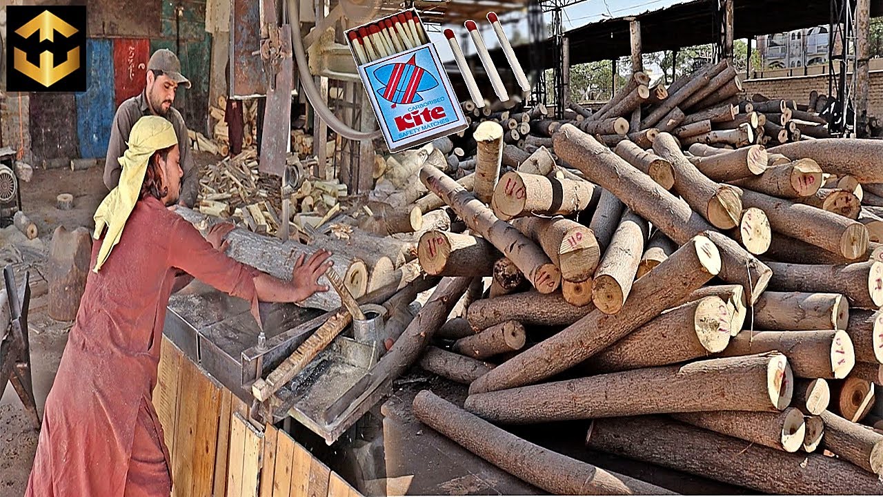 How Matches STICKS are Made in Big Factory with Mass Production