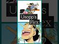 How Many of You Slept on Ussop?