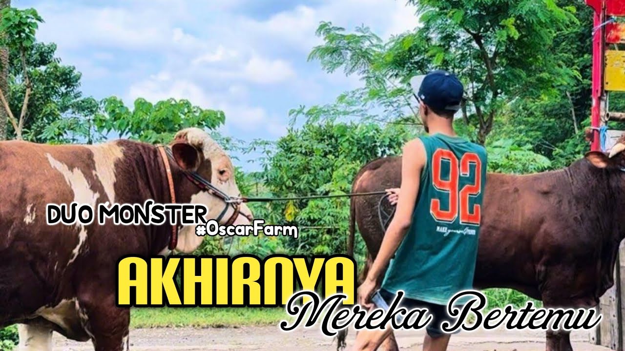 PERTEMUAN DUO MONSTER #oscarfarm