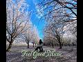 Feel Good Music - Instruments no Lyrics - Guitar and Piano Playing - Relaxing Music, Relax your mind