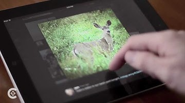 Rediscovering the human in a digital culture