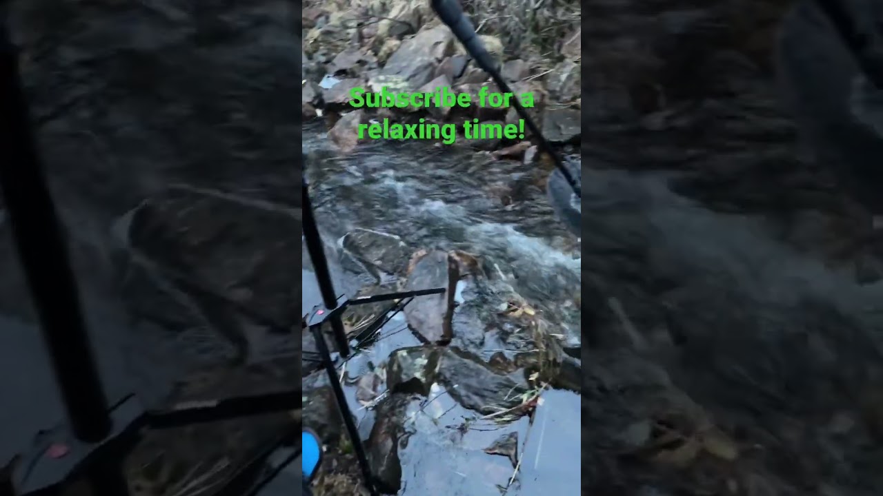 preview_player