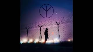 Blackbird - Solitude