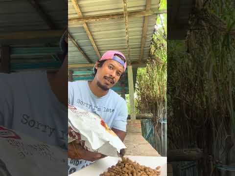 nakal sungguh lah si anjing ni ..