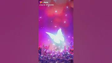 ابوسك حبيبي منين ولا فين 