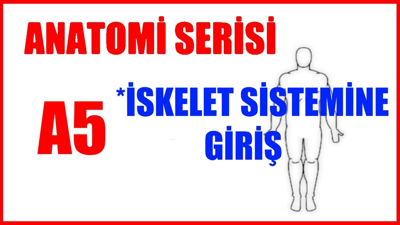 İskelete Giriş A5 (Anatomi Serisi) Genel Kemik Bilgisi