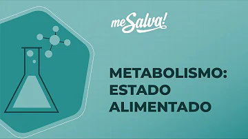 O que acontece no estado alimentado?