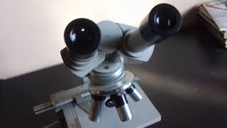 Microscópio Zeiss Laboval