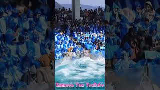 ラビーの一撃炸裂!! #Shorts #鴨川シーワールド #シャチ #kamogawaseaworld #orca #killerwhale