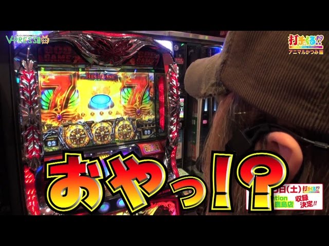 パチスロ 打チくる アニマルかつみ編 231 アナザーゴッドハーデス 奪われたzeusver 前編 Youtube