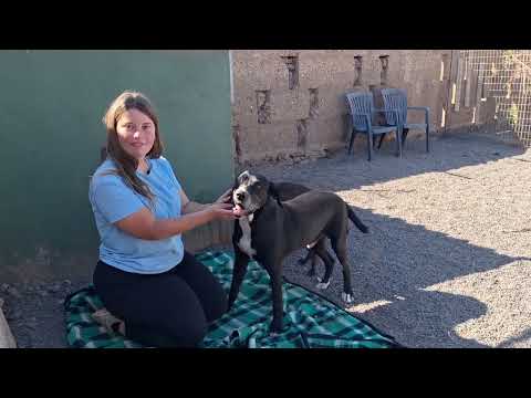 Leti (Leticia) video